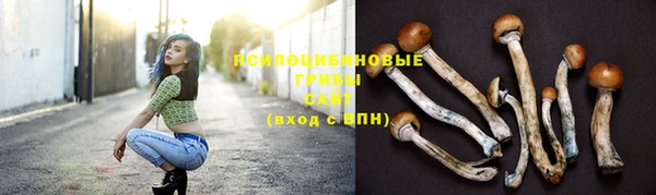 дмт Верхний Тагил