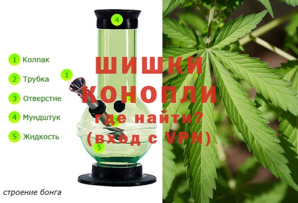 прущая мука Верея