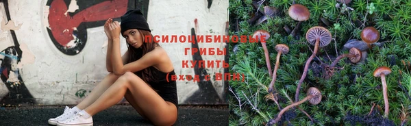 прущая мука Верея