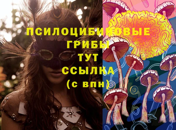 спайс Семёнов