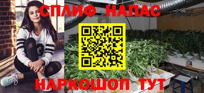 ПСИЛОЦИБИНОВЫЕ ГРИБЫ Свободный