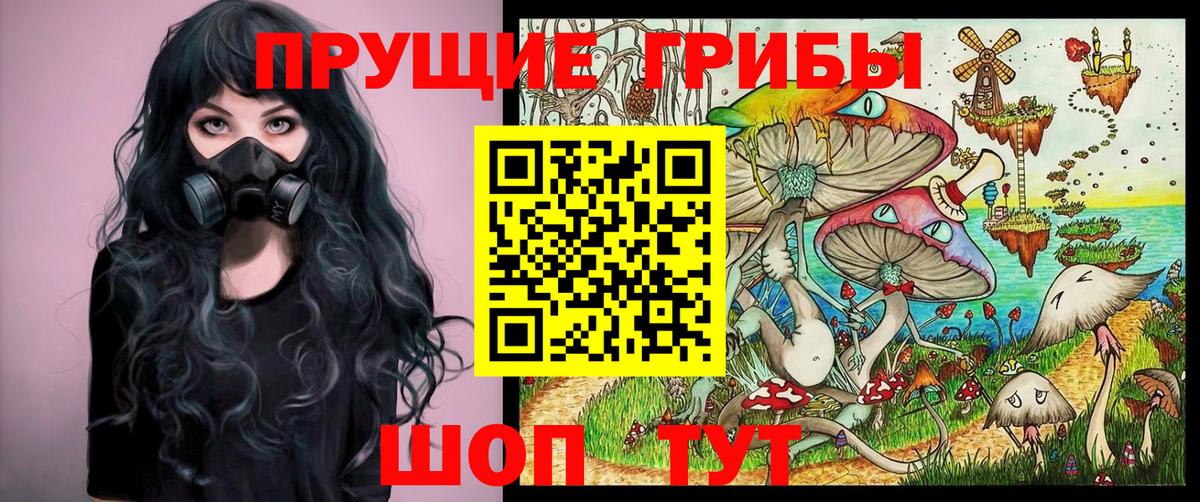 Галлюциногенные грибы Psilocybe  Вход с VPN  Северобайкальск  Галлюциногенные грибы прущие грибы 