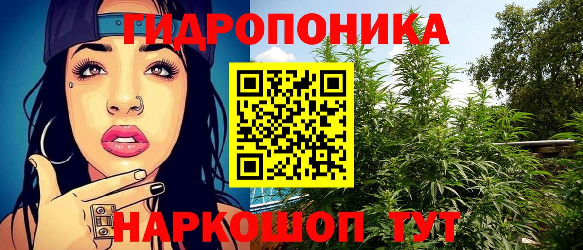 Конопля индика  Бошки марихуана Bruce Banner  Вход с VPN  Северобайкальск  Конопля MAZAR  МАРИХУАНА конопля 